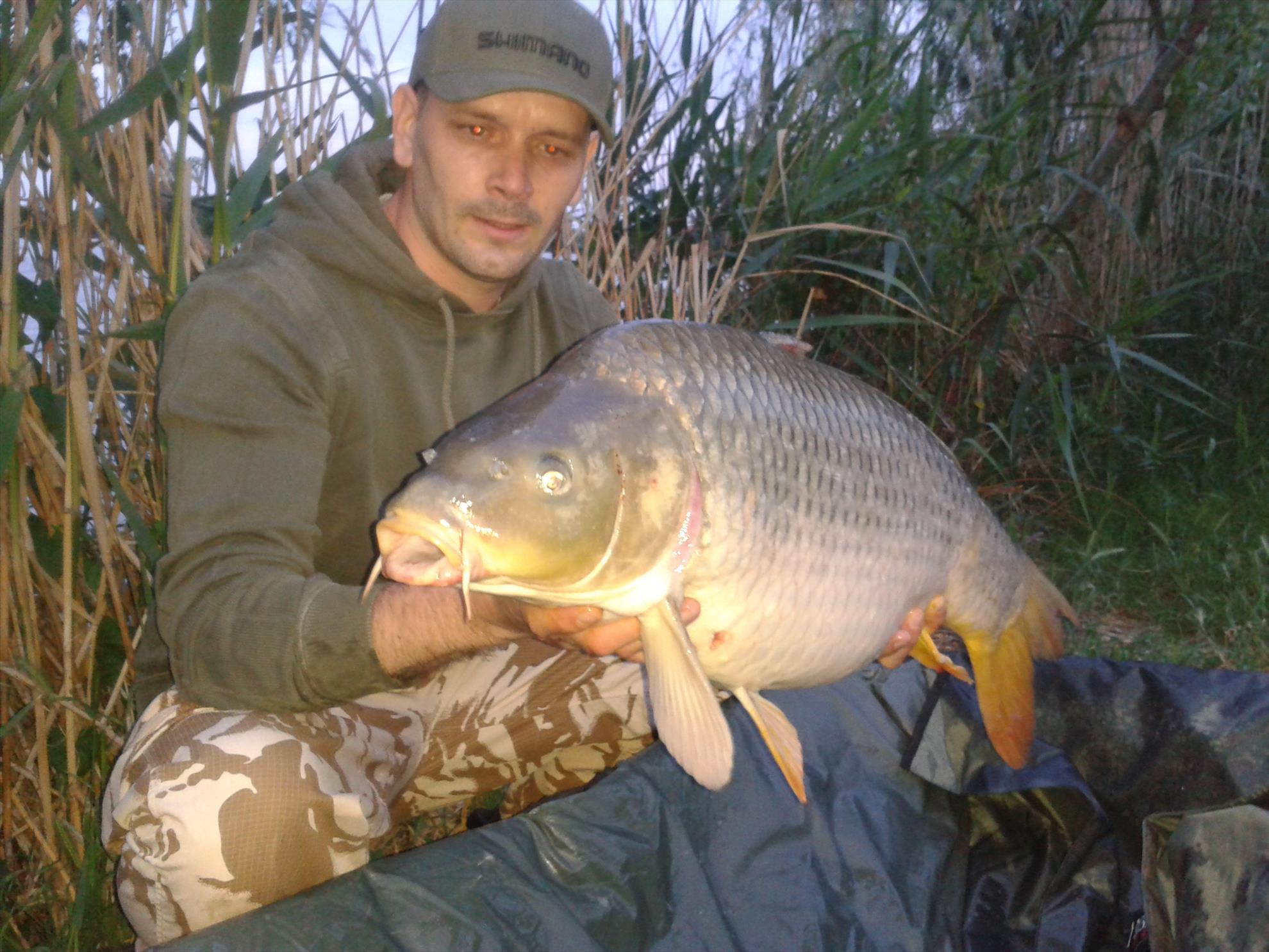 15-17.05.2015 - 20150515195240.jpg